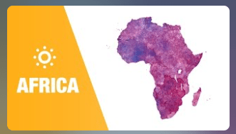 Travel Guides: Africa
