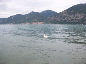 Discover the lakes of northern Italy