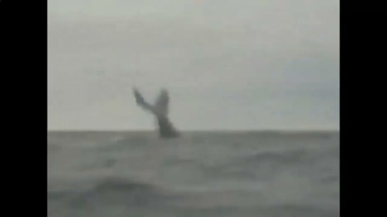 Puerto López – Whales of the Pacific